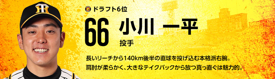 ドラフト6位 66 小川一平