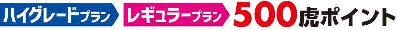 レギュラープラン500虎ポイント