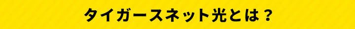 タイガースネット光とは？