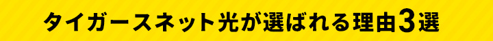タイガースネット光が選ばれる理由３選