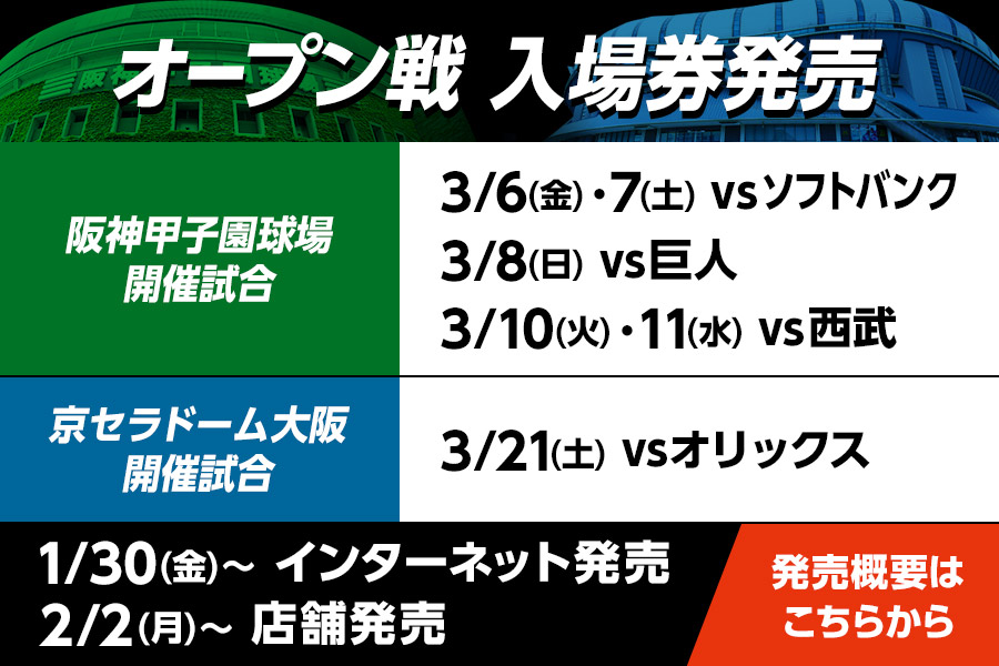 オープン戦入場券