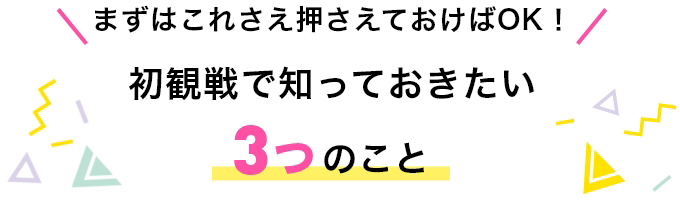 初観戦で知っておきたい3つのこと